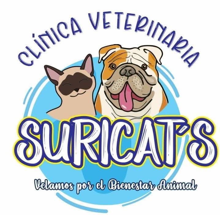 Suricats Veterinaria